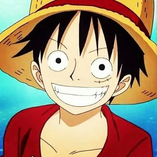 Ảnh avatar one piece ngầu tạo phong cách mạnh mẽ và cá tính