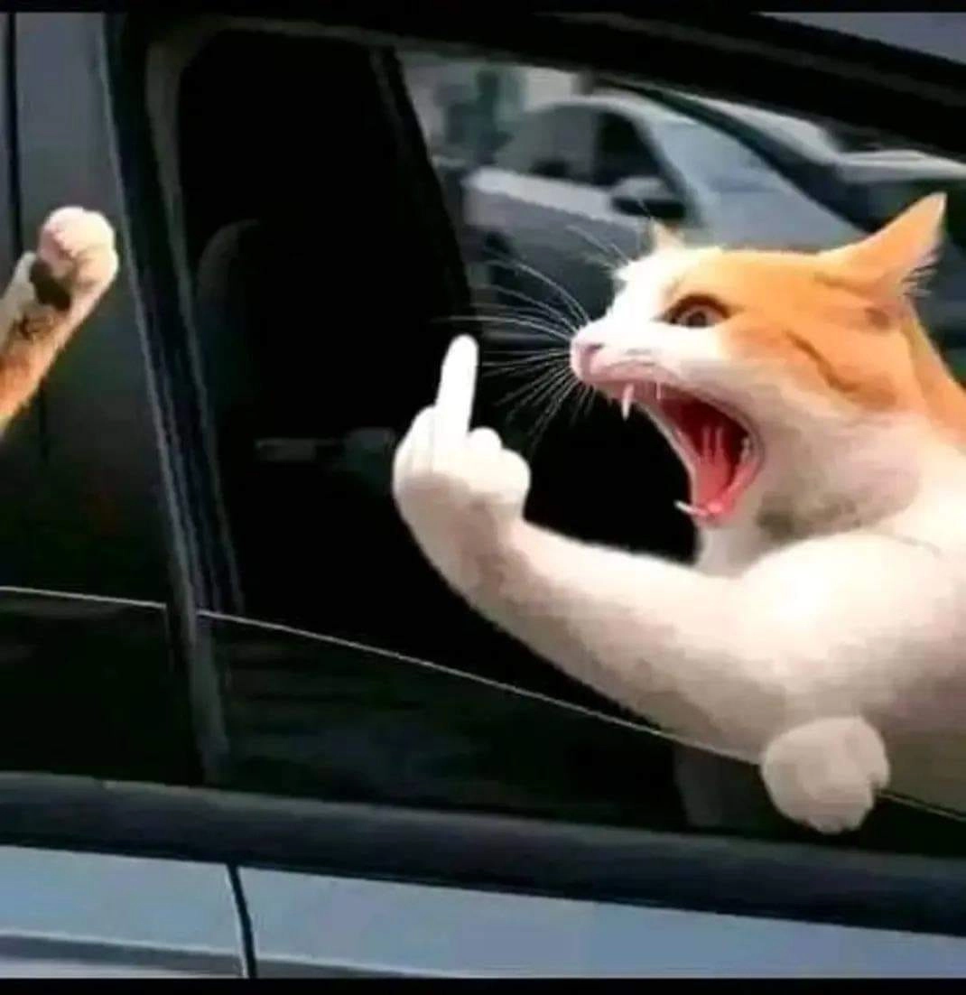 Avatar ngón giữa meme siêu chất và phá cách