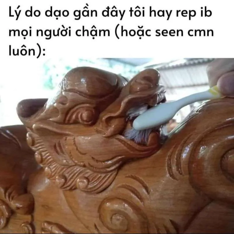 Avatar Tết meme hài hước đáng yêu