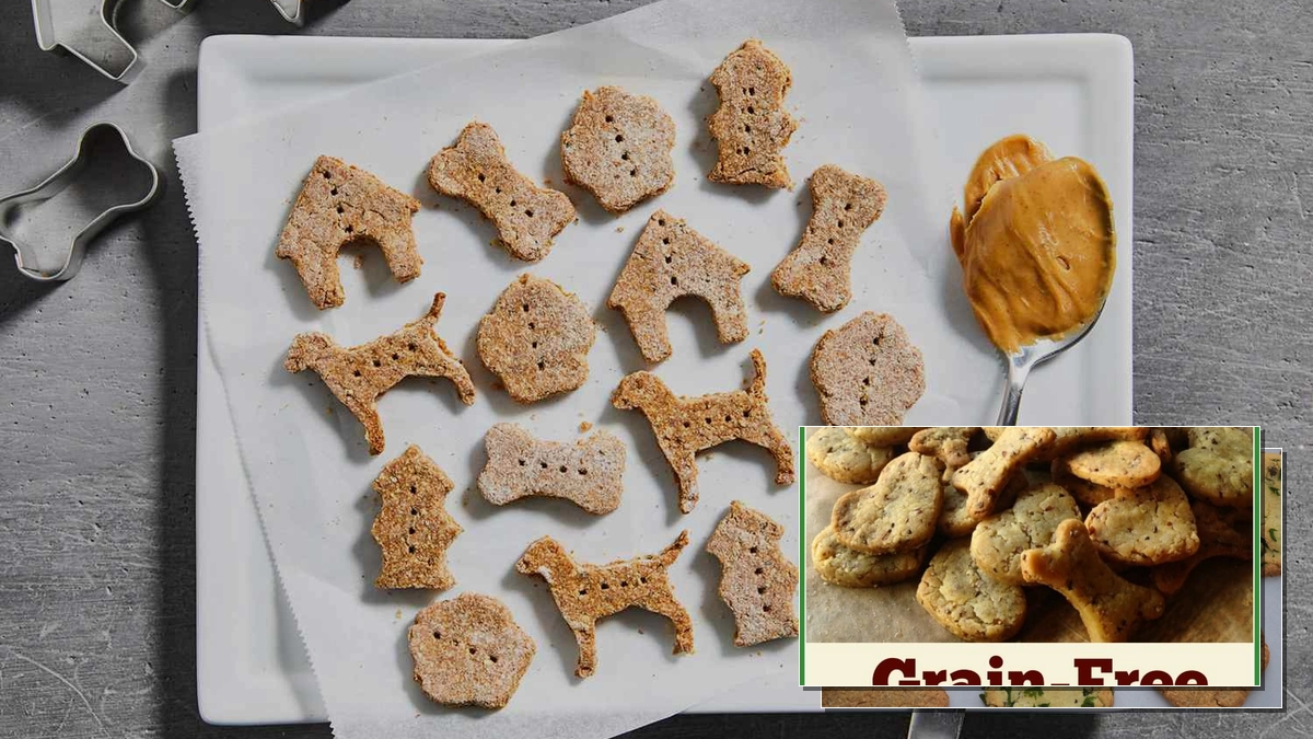 Best homemade healthy dog treat recipes grain-free for 2026
