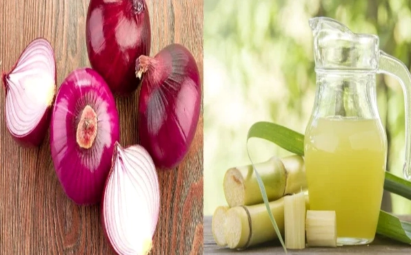 Bí quyết tưới thuốc kích rễ cho cây mới trồng hiệu quả nhất