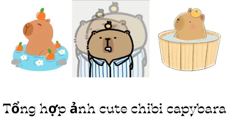 Bộ sưu tập 55+ ảnh cute chibi capybara khiến ai cũng mê