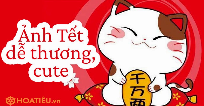 BST Avatar Tết Cute 2026: Hình nền đại diện cực xinh cho năm mới