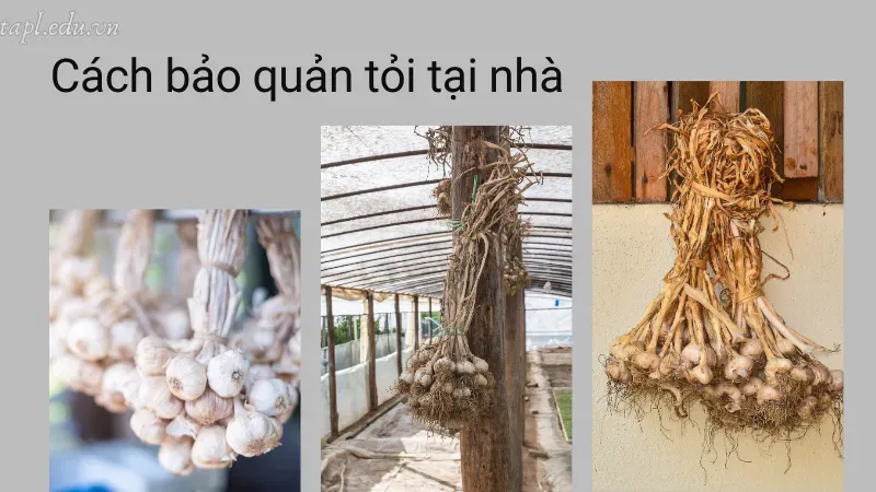 Cách bảo quản tỏi tại nhà
