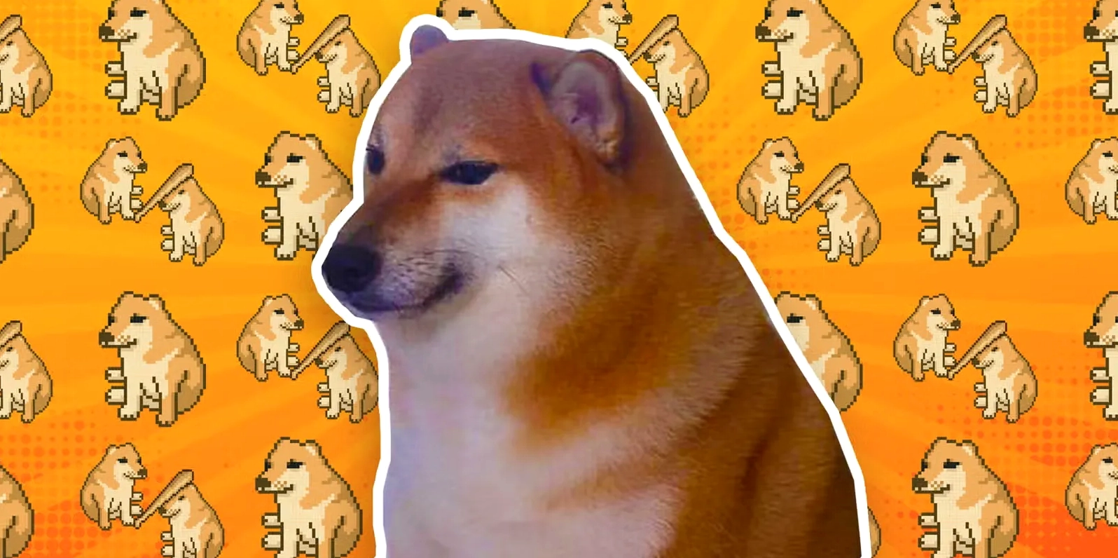 Cheems meme chú chó Shiba "chúa hề" gây sốt cộng đồng mạng
