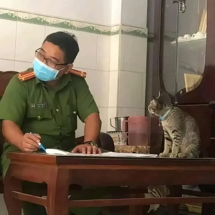 Công an meme luôn đầy bất ngờ và hài hước