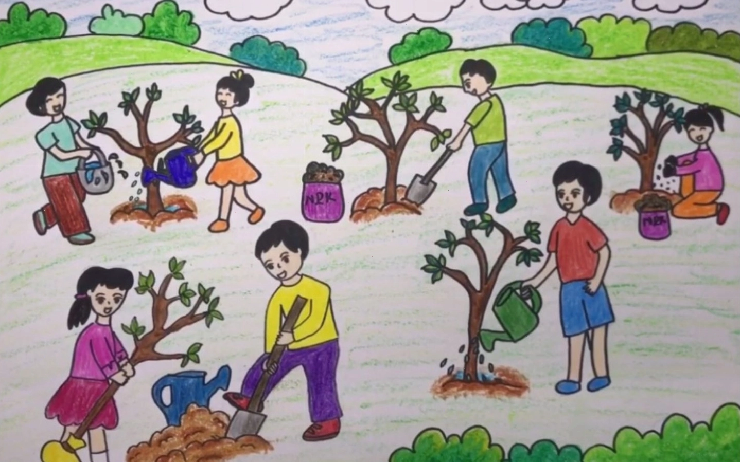 Cùng nhau trồng cây che phủ đất