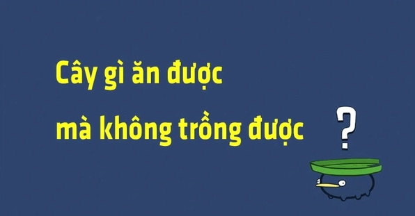 Đố vui: Cây gì ăn được mà không trồng được?