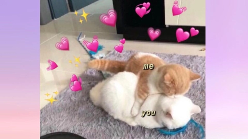 Giang tay ôm meme ngập tràn tình cảm