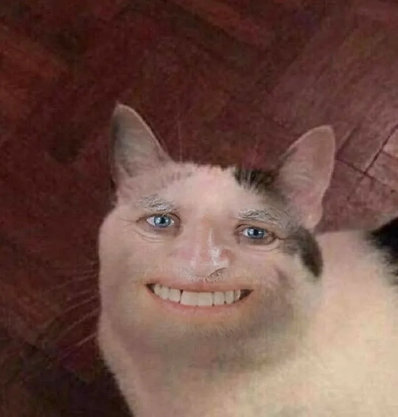 Há miệng meme mèo cười thú vị và ngộ nghĩnh trong hội thoại