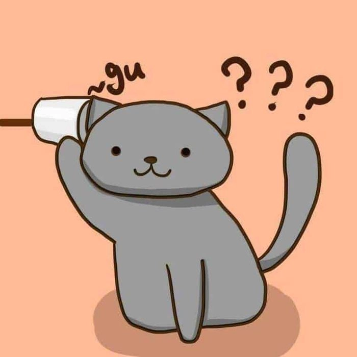 Hình con mèo chibi cute với biểu cảm hài