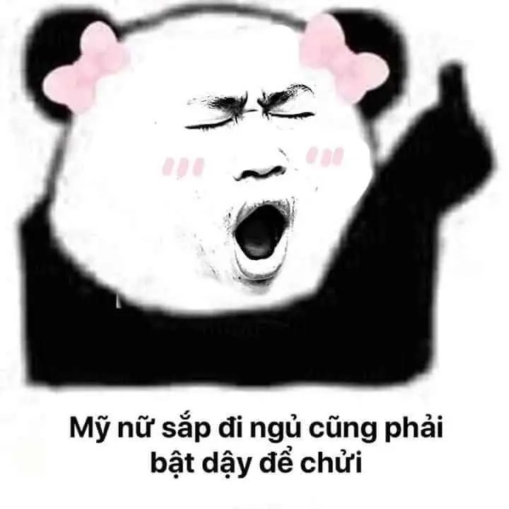 Hình meme gấu trúc siêu hot mọi thời điểm