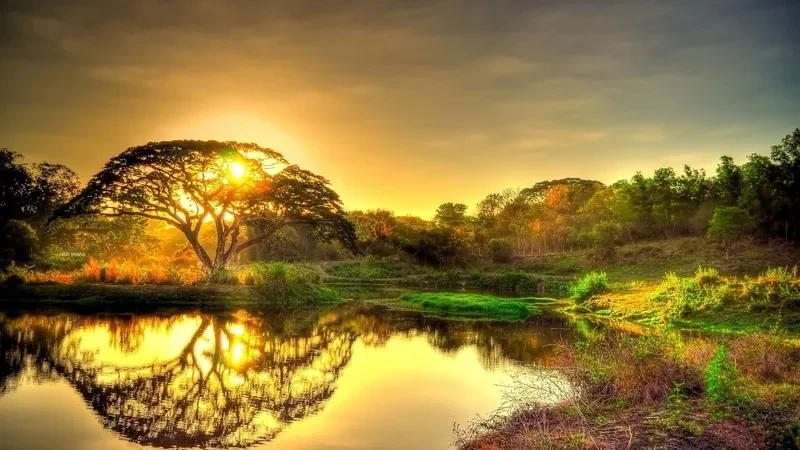 Hình thiên nhiên buồn mang nét trầm lắng sâu sắc