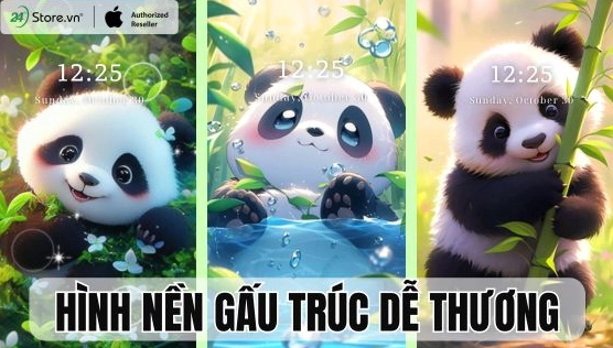 Khám phá bộ sưu tập ảnh nền avatar gấu cute độc đáo cho năm 2026