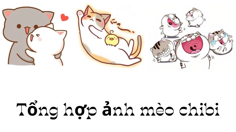 Khám phá hình ảnh mèo chibi cực cute, bạn không thể bỏ qua