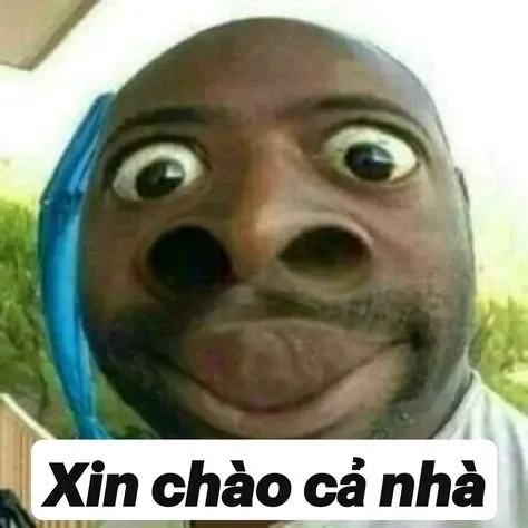 Meme mèo chào ngày mới sáng tạo và hài hước phù hợp chia sẻ