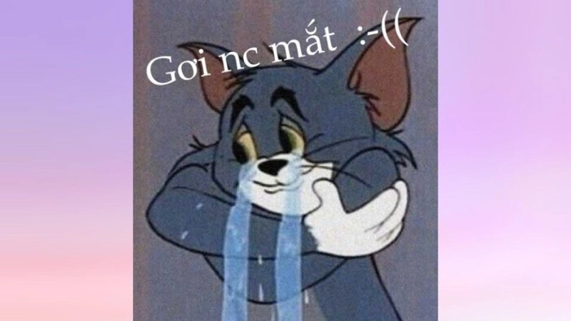 Meme ôm cái nè đầy trìu mến và dễ mến