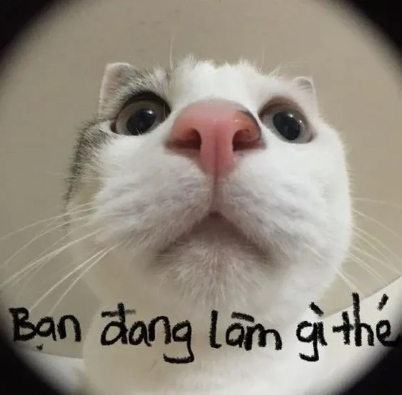 Meme chào tạm biệt thú vị và ngộ nghĩnh dễ dàng sử dụng