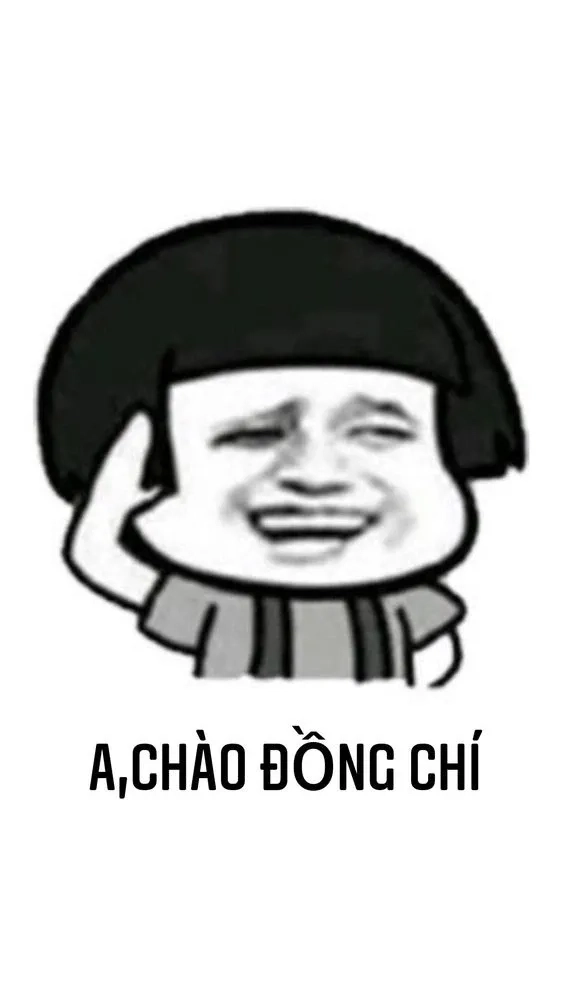 Meme mèo chào đáng yêu và ngộ nghĩnh mang lại tiếng cười