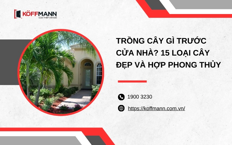Mệnh Thủy Nên Trồng Cây Gì Trước Nhà Để Thu Hút Vận May 2026