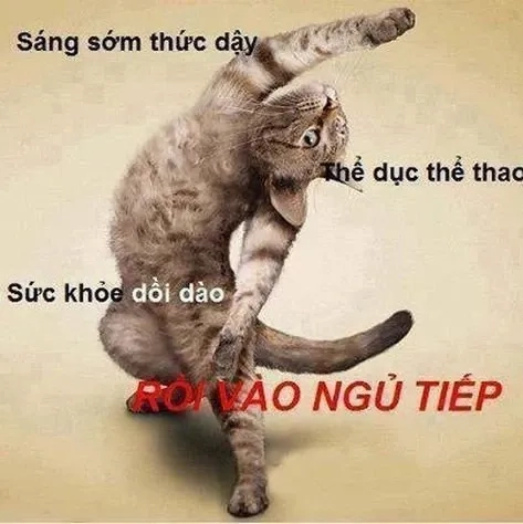 Meme chào cute hài hước và sáng tạo mang lại tiếng cười