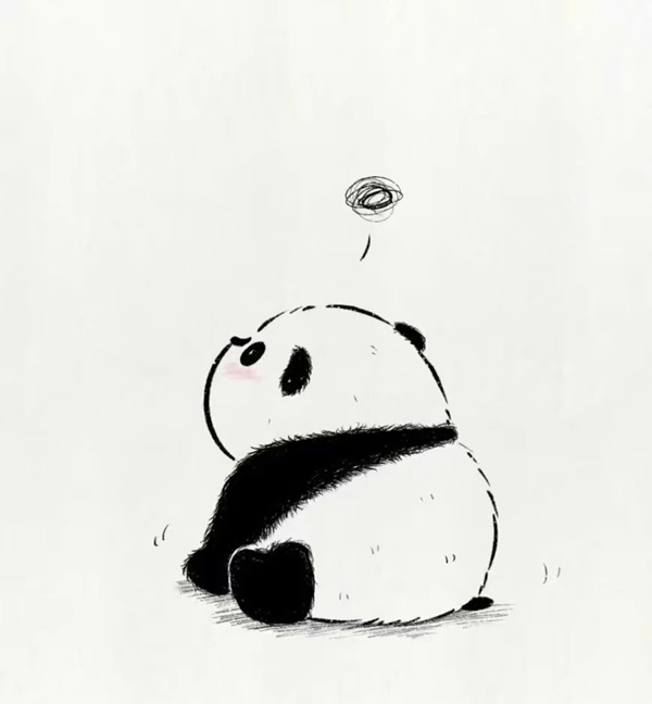 Panda gấu trúc hoạt hình siêu cute