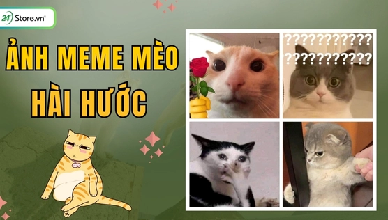 Tuyển chọn hình nền meme mèo hài hước và bựa nhất 2026
