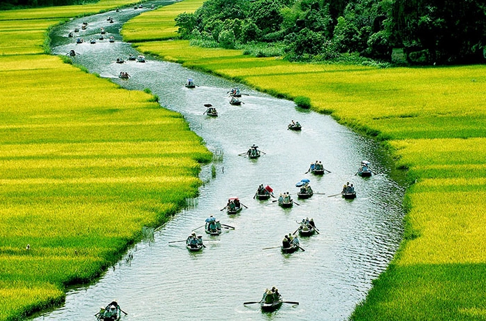 Vẻ Đẹp Quê Hương Việt Nam: Khám Phá Di Sản Thiên Nhiên Hùng Vĩ